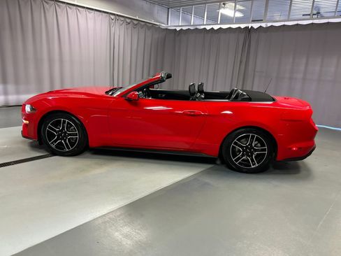 Used 2021 Ford Mustang Premium image 4