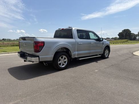Used 2025 Ford F150 XLT w/ Equipment Group 301A Standard RWD image 6