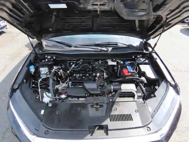 Certified 2024 Honda CR-V EX-L image 10