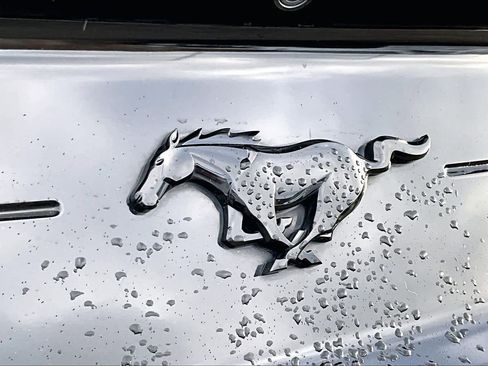 Used 2020 Ford Mustang Premium w/ Equipment Group 201A image 29