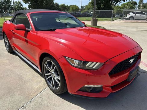 Used 2017 Ford Mustang Premium image 5