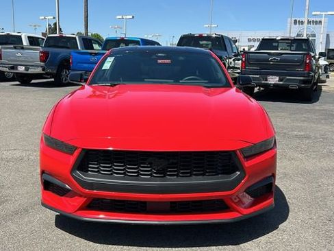 New 2026 Ford Mustang Coupe w/ Mustang Nite Pony Package RWD image 8