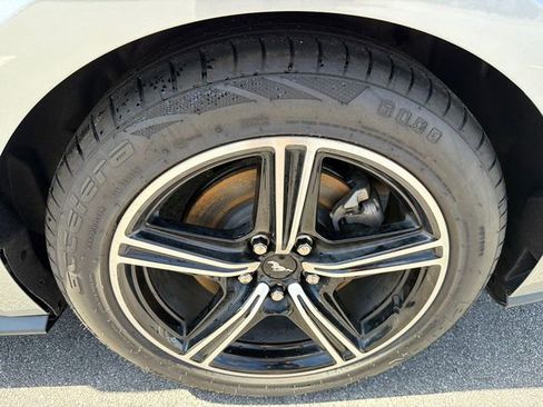Used 2024 Ford Mustang Premium image 18