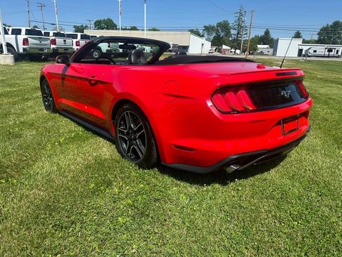 Used 2019 Ford Mustang Premium RWD image 5