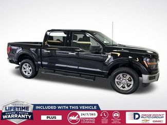 Used 2025 Ford F150 XLT w/ Equipment Group 301A Standard video 2
