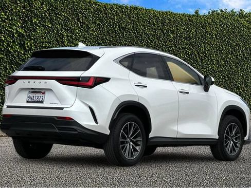 Used 2025 Lexus NX 250 FWD w/ Accessory Package (2T) image 4