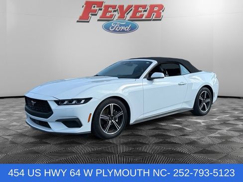 Used 2025 Ford Mustang Premium RWD image 1