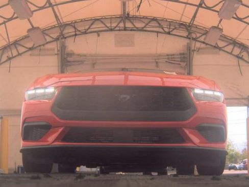 Used 2025 Ford Mustang Premium w/ Mustang Nite Pony Package RWD image 3