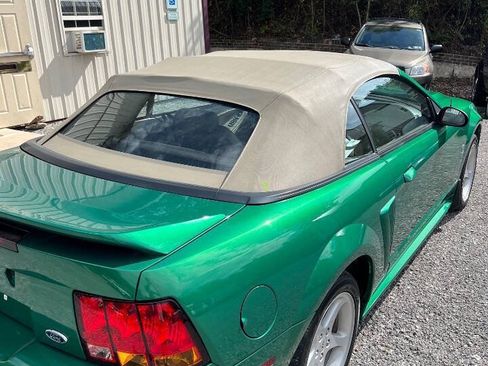 Used 1999 Ford Mustang Cobra RWD image 35