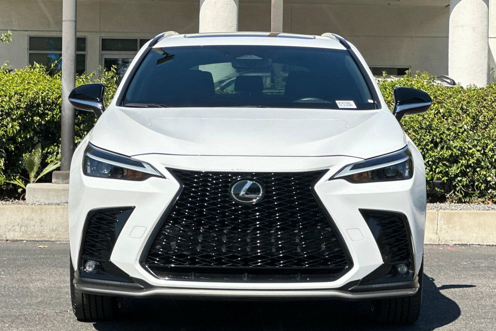 Used 2024 Lexus NX 350 F Sport AWD/4WD image 6