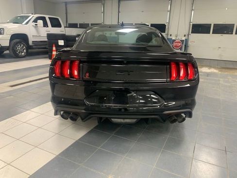 Used 2022 Ford Mustang GT w/ Equipment Group 301A image 4