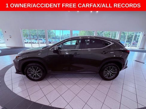 Certified 2025 Lexus NX 250 FWD w/ Cold Area Package image 4