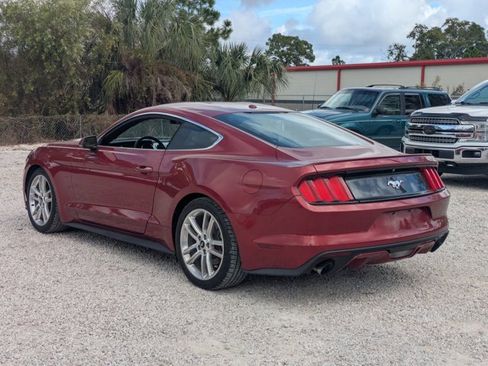 Used 2017 Ford Mustang Premium w/ Equipment Group 201A image 5