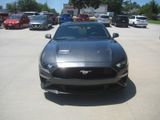 Used 2019 Ford Mustang Coupe image 3