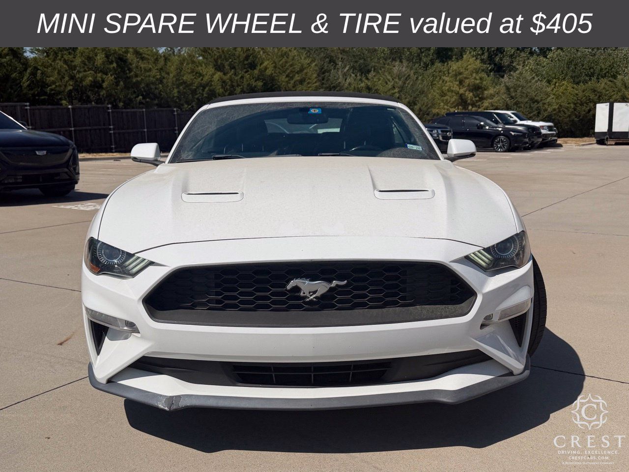 Used 2020 Ford Mustang Premium RWD image 2
