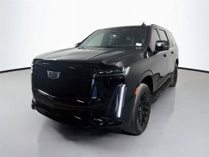 Used 2024 Cadillac Escalade ESV Sport Platinum w/ LPO, ONYX Package