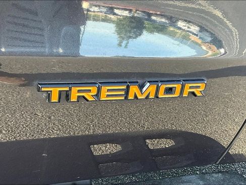 Used 2025 Ford Expedition Tremor AWD/4WD image 24