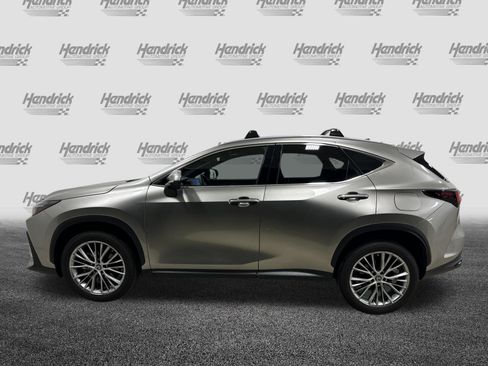 Used 2023 Lexus NX 350 AWD w/ Cold Area Package image 7
