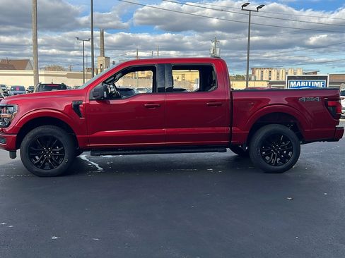 New 2025 Ford F150 XLT w/ Equipment Group 302A MID image 8