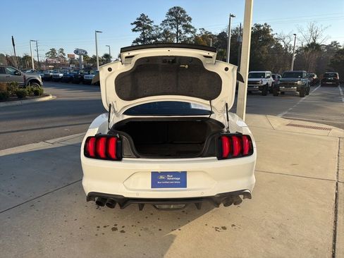Certified 2019 Ford Mustang GT w/ Equipment Group 301A image 7