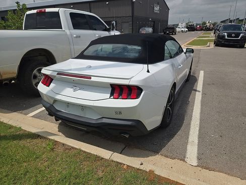 Used 2024 Ford Mustang Premium RWD image 3