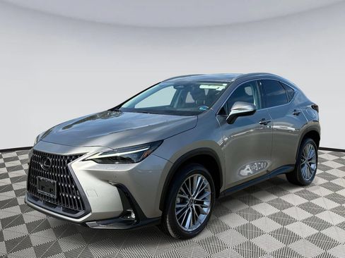 Used 2023 Lexus NX 350 AWD w/ Cold Area Package image 5