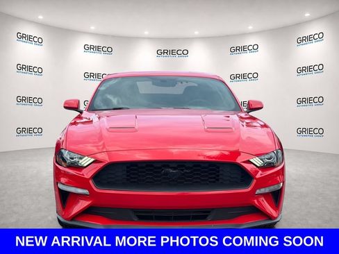 Used 2019 Ford Mustang Coupe w/ Ecoboost Performance Package RWD image 2