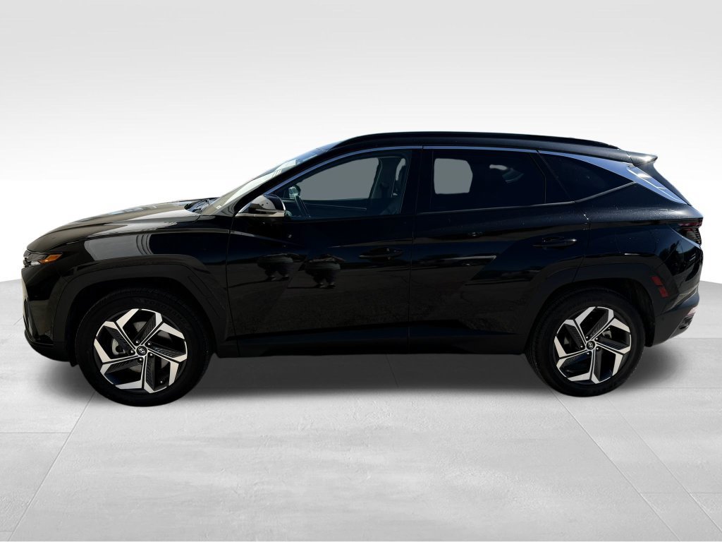 Used 2023 Hyundai Tucson Limited AWD/4WD image 3