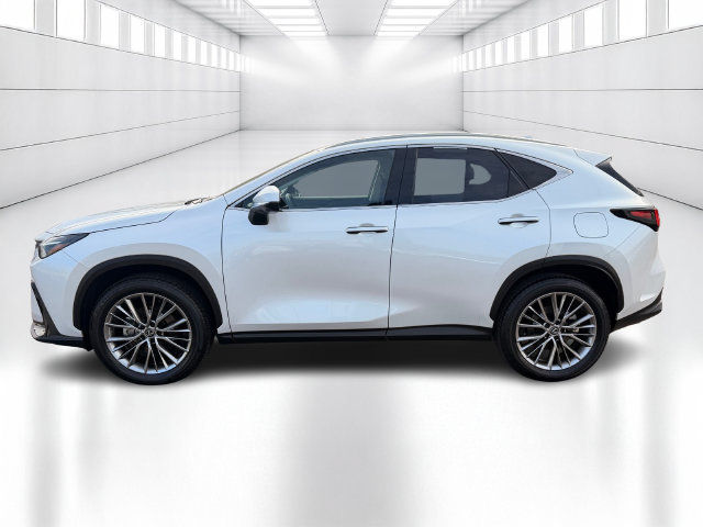 Certified 2024 Lexus NX 350h AWD w/ Vision Package image 10