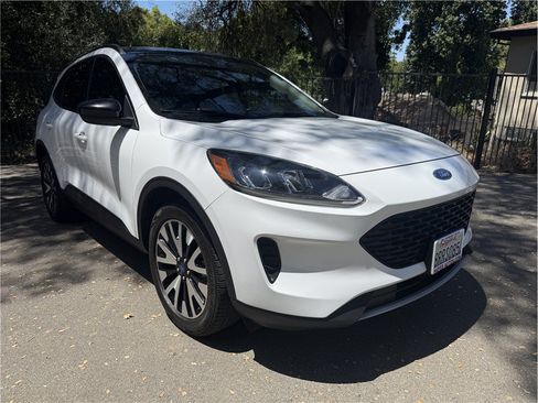 Used 2020 Ford Escape SE Sport AWD/4WD image 1