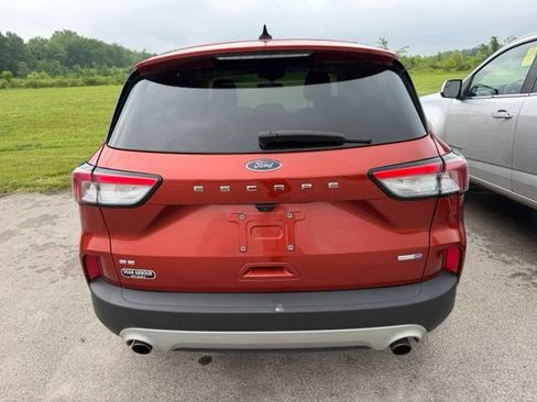 Used 2020 Ford Escape SE AWD/4WD image 9