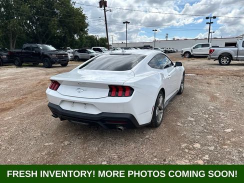 Used 2024 Ford Mustang Coupe RWD image 3