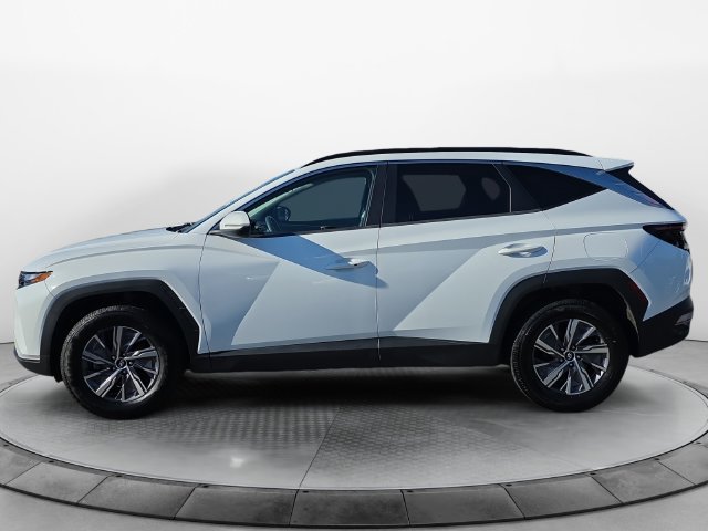 Used 2022 Hyundai Tucson Blue AWD/4WD image 2