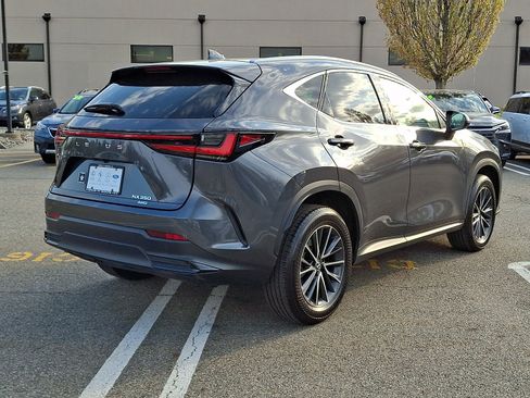 Used 2025 Lexus NX 350 AWD w/ Cold Area Package image 6