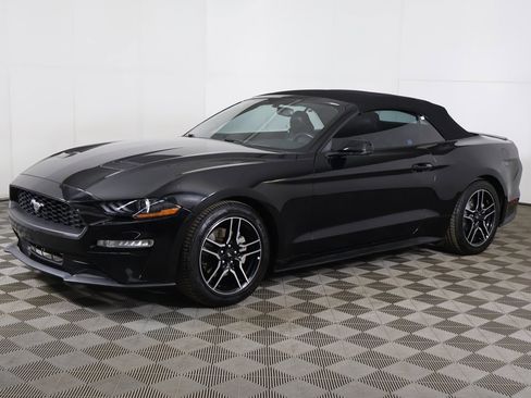 Used 2019 Ford Mustang Premium image 5