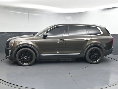 Used 2020 Kia Telluride SX w/ SX Prestige Package image 5