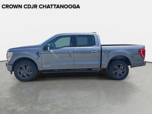 Used 2023 Ford F150 XLT w/ Equipment Group 302A High AWD/4WD image 8