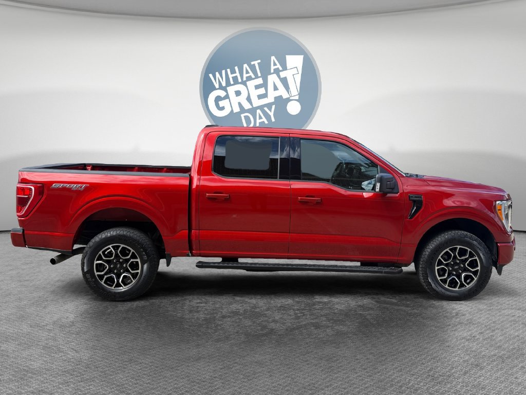 Used 2023 Ford F150 XLT w/ Equipment Group 302A High AWD/4WD image 2