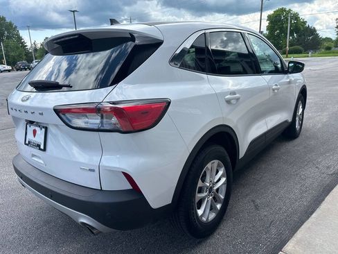 Used 2020 Ford Escape SE AWD/4WD image 5