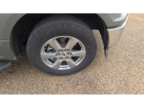 Used 2019 Ford F150 XLT w/ Equipment Group 302A Luxury RWD image 6