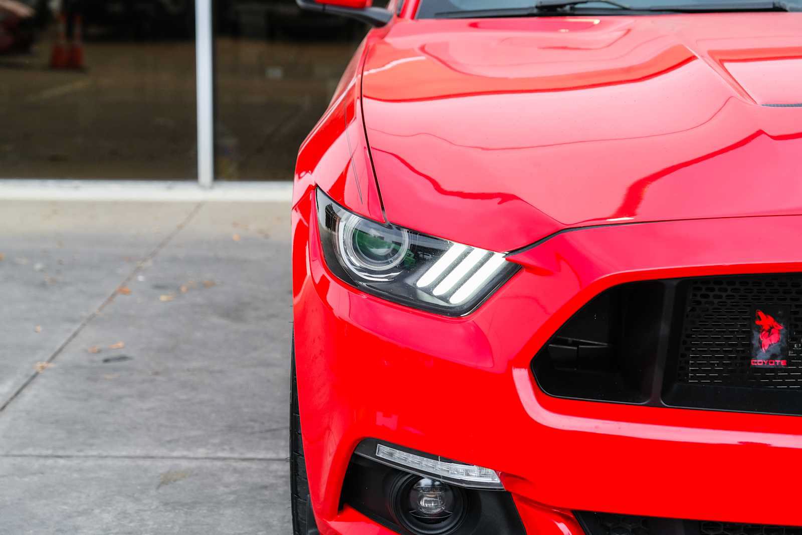 Used 2015 Ford Mustang GT Premium w/ GT Performance Package RWD image 5