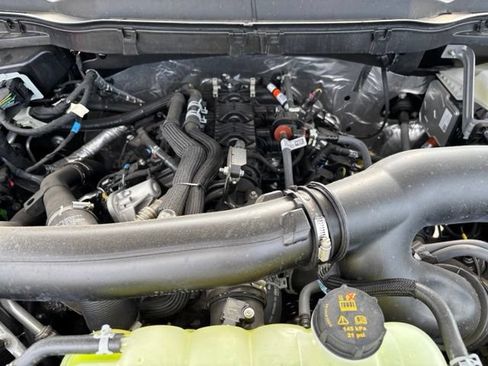 New 2026 Ford F150 XLT w/ Equipment Group 303A High AWD/4WD image 24