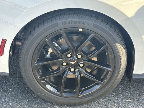 New 2026 Ford Mustang Coupe w/ Mustang Nite Pony Package image 16