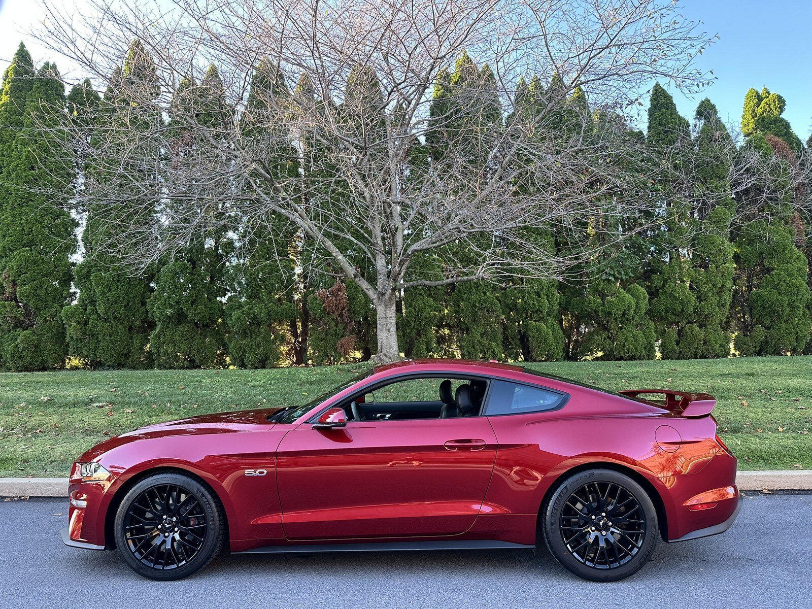 Used 2019 Ford Mustang GT Premium w/ GT Performance Package RWD image 41