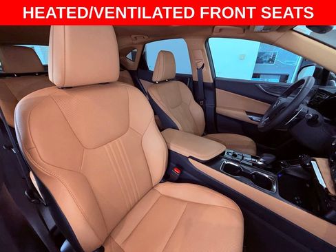 Certified 2025 Lexus NX 250 FWD w/ Cold Area Package image 15