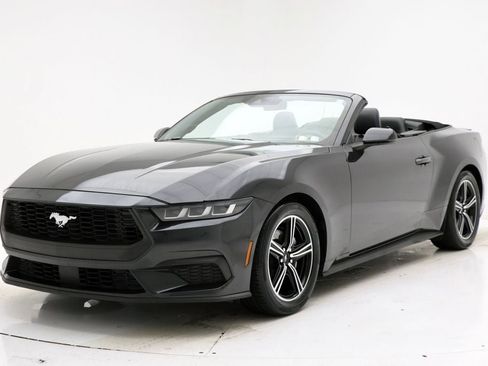 Used 2024 Ford Mustang Premium image 2