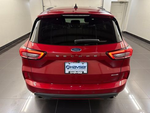 Used 2023 Ford Escape ST-Line w/ Tech Pack #1 AWD/4WD image 5
