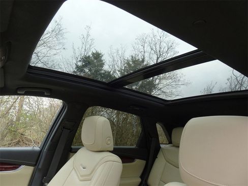 Used 2019 Cadillac XT5 Premium Luxury image 12