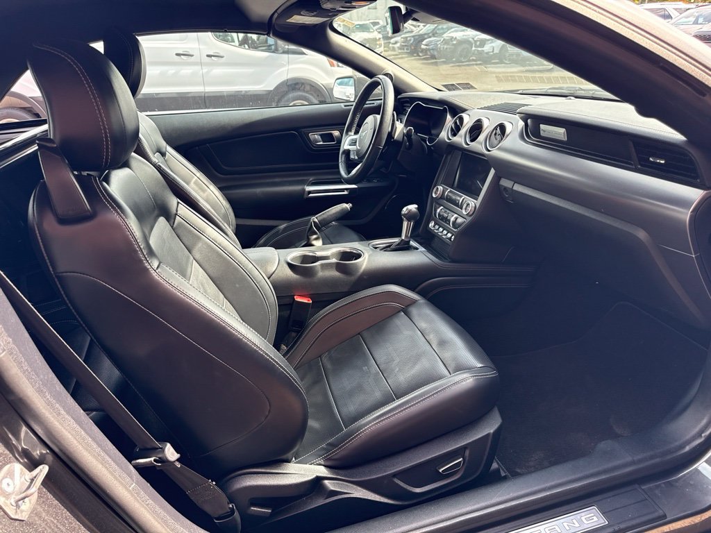 Used 2019 Ford Mustang Premium w/ Equipment Group 201A RWD image 8