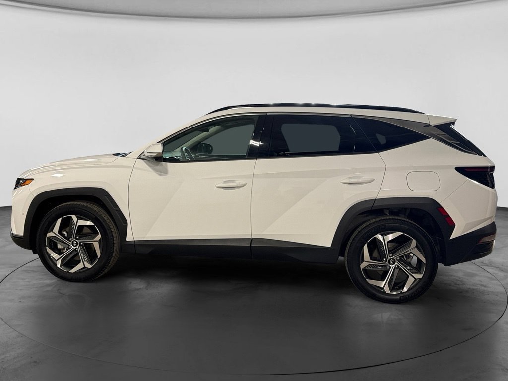 Used 2024 Hyundai Tucson Limited AWD/4WD image 8